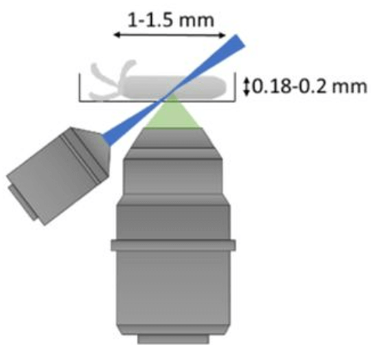 Schematic of mesOPM